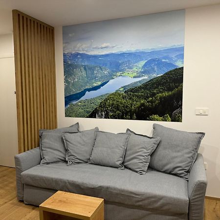 Apartma Tisa Bohinj Exteriör bild