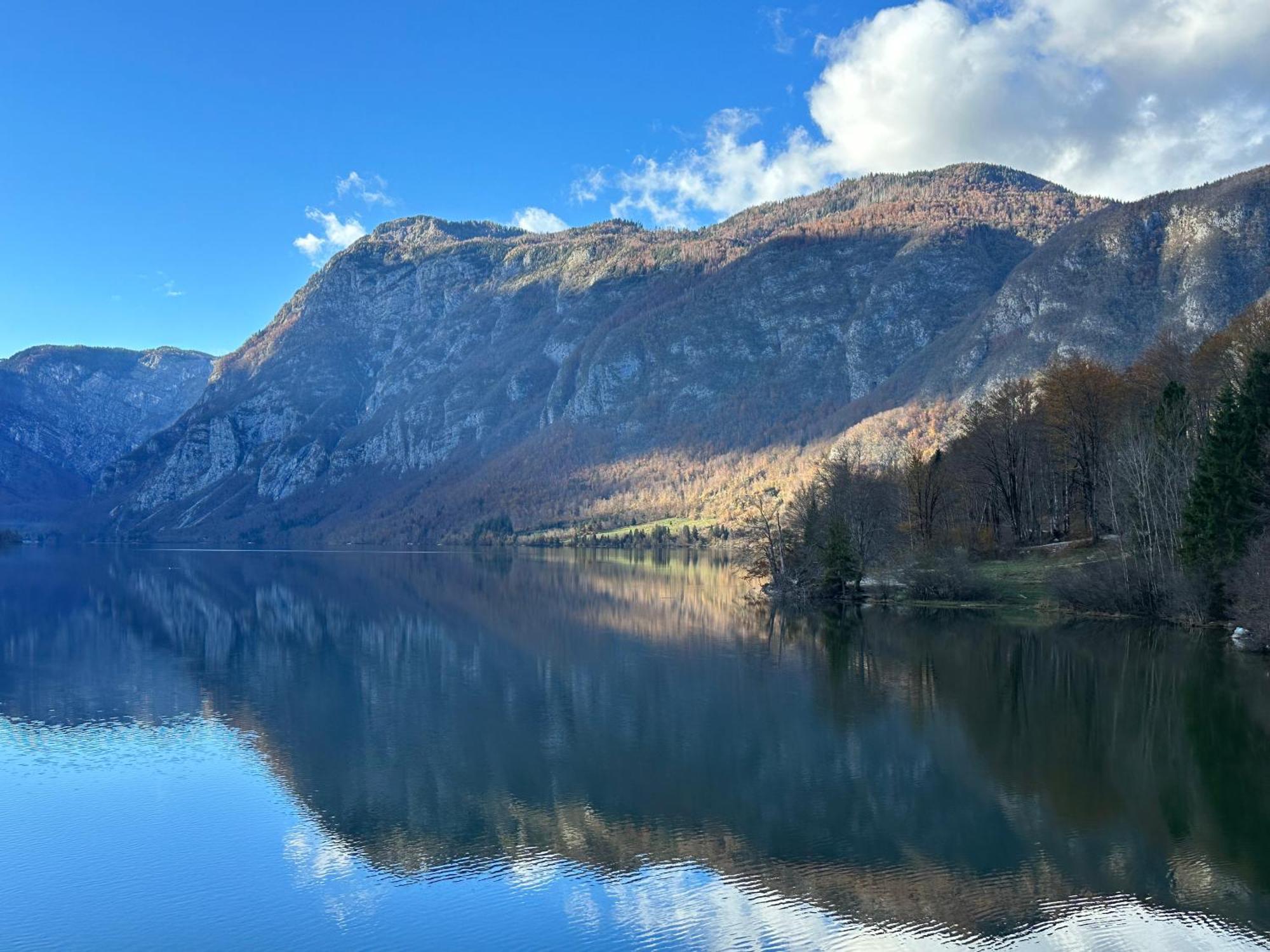 Apartma Tisa Bohinj Exteriör bild